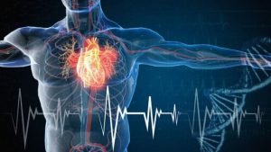 استفاده از هوش مصنوعی برای پیشبینی ابتلا به فیبریلاسیون دهلیزی